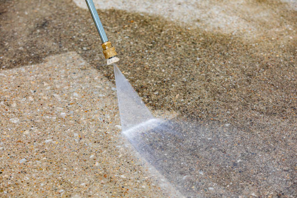 Best Pre-Holiday Cleaning  in Oli, PA